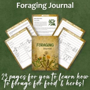 Foraging Journal