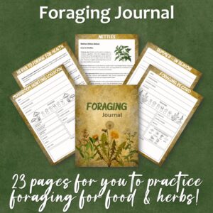 Foraging Journal